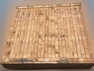 Plankehegn sibirisk lærk, Pinefarvet