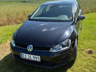 Velholdt golf 7