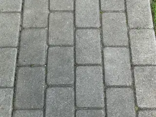 Hjertingesten 14x21x6 