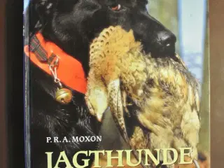 jagthunde - jagt- og markprøvetræning, af p. r. a.
