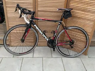 Principia Evolution