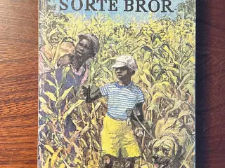 Reidar Brodtkorb: Sorte bror