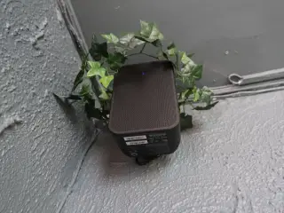 Trådløs højtaler BLUESOUND INTERNATIONAL Pulse Flex 2i