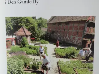 Læge Planter  []