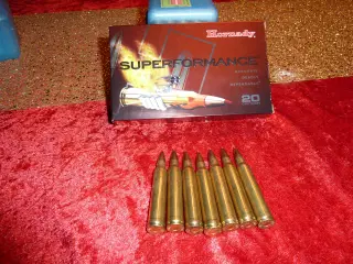 JAGTAMMUNITION HORNADY CAL. 300 WIN. MAG.