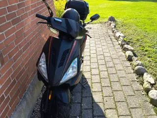 Scooter 45