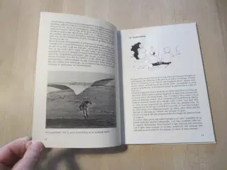 Bog - Drageflyve Håndbogen