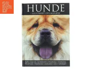 Hunde - illustreret opslagsværk (Bog)