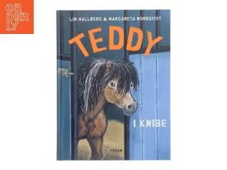 Teddy i knibe af Lin Hallberg (Bog)