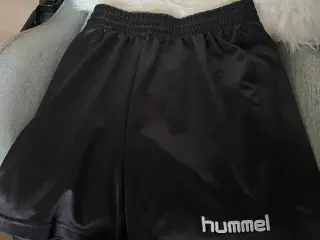 Humme shorts 