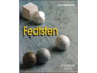 Fedtsten