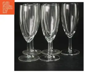 Champagneglas (5 stk) (str. 16 cm)
