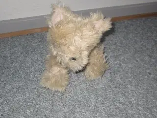 Bamse, Hemogram