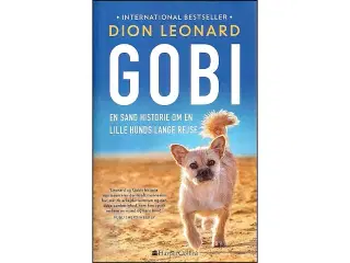 Gobi - en lille hunds lange rejse