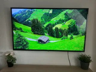 LG TV 55' webOS TV UM7100PLB H