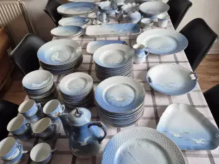 Mågestel 
