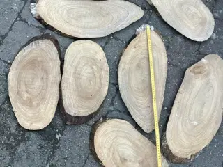 Træ skiver