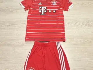 Fc Bayern München addidas sæt str S