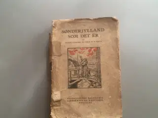 SØNDERJYLLAND SOM DET ER