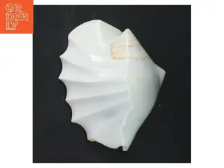Dekorativ muslingeskal (str. 14x11x7 cm)