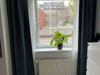 Ikea gardin