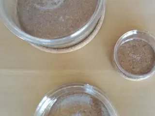 Bodum skåle sæt med 3 stk