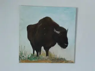 Maleri med bisonokse 50 x 50 cm