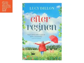 Efter regnen af Lucy Dillon (Bog)