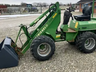Striegel 300 Dy/a