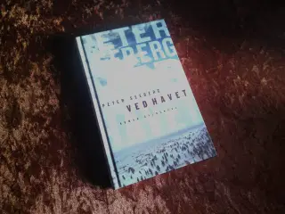 Ved havet, Peter Seeberg