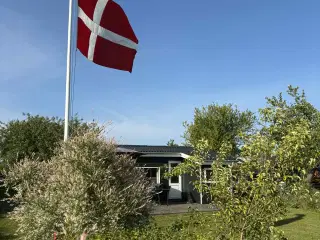 Hyggeligt kolonihavehus sælges