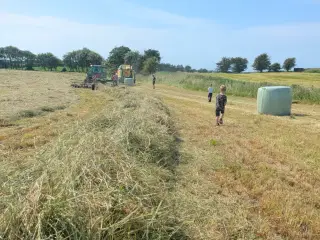 Prima kvalitets wrap hø til heste
