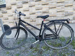 Women's Bike