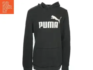 4 stk flotte Hættetrøjer og sweatshirts (str. 164-168)