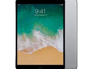 Apple iPad iPad Pro 10.5" Wi-Fi+Cellular 256 GB