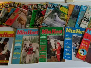 Kæmpe samling Wendy-Penny-Min hest mm