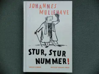 Johannes Møllehave:  Stur, stur nummer!