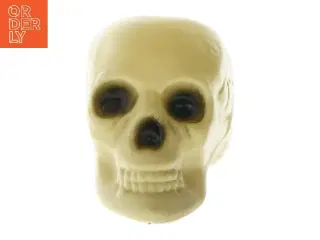 Kranium(str. 17,5 cm) (str. 17,5 cm)