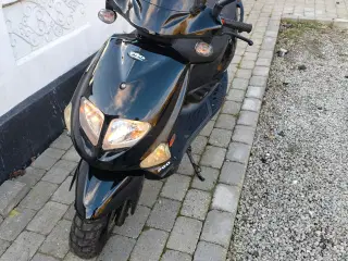 Pgo DR big