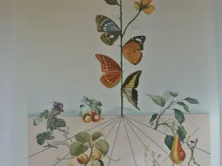 salvador dali die ausstellung am potsdamer platz, 