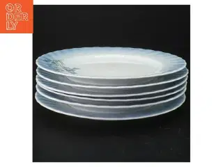 Tallerkener (6 stk) fra Christineholm Porcelaine (str. Ø 19,5 cm)