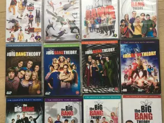 Big Bang Theory komplet serie