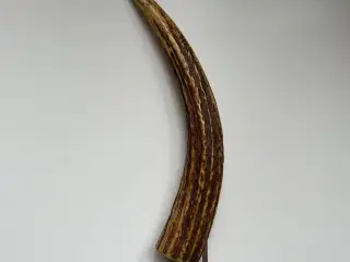 Eksklusiv Vintage Cigar Cutter – Før 1960