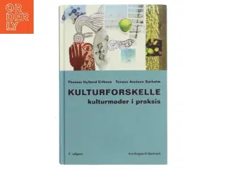 Kulturforskelle : kulturmøder i praksis (Bog)
