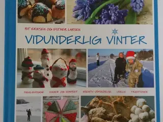 Vidunderlig vinter Af Bit Eriksen og Esther Larsen