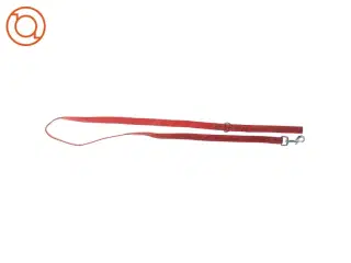 Hundesnor fra Dyreværnet (str. 155m)