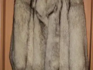 Blåræv pels