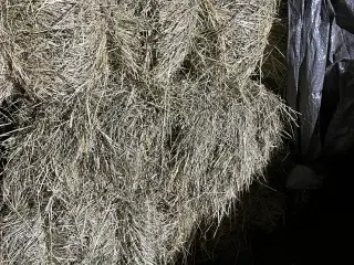 Lækker hø Morten Koch baller