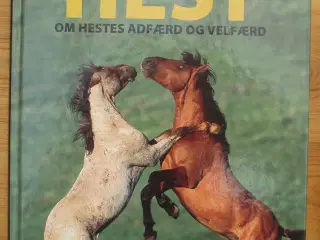 En hest er en hest, om hestes adfærd og velfærd