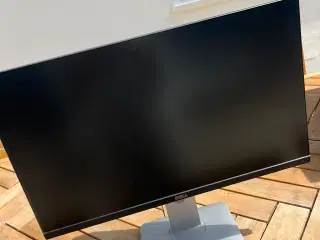 COMPUTER SCREEN DELL
